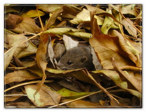 Monetize_That's profile picture. #followback #teamfollowback #ru_ff Добавляю взаимно!