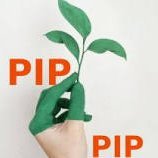 Andy S (@pip4pip_com) 's Twitter Profile
