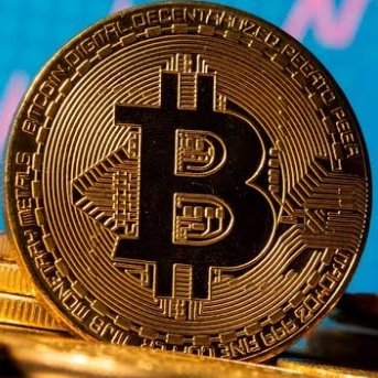 KGF181740's profile picture. "Smile, because exclusive content on GOMDORI is just a click away