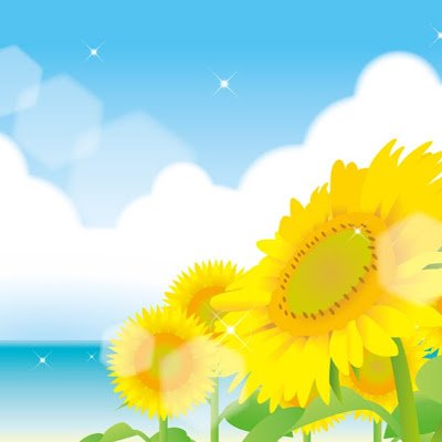 ain358078264264's profile picture. 