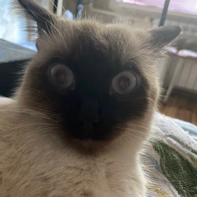 __sk_sandy___'s profile picture. 