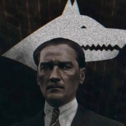 aarslanengin's profile picture. Gereğinden fazla merhamet vatana ihanettir.