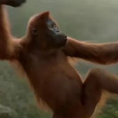 typical88962's profile picture. 