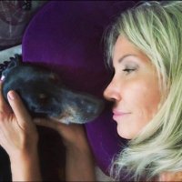 paola massari (@ilventomatteo) 's Twitter Profile Photo