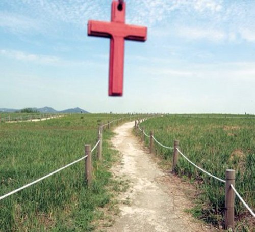 wonazzang's profile picture. 