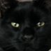 laVito (@vito11032004) Twitter profile photo laVito (@vito11032004) Twitter profile photo