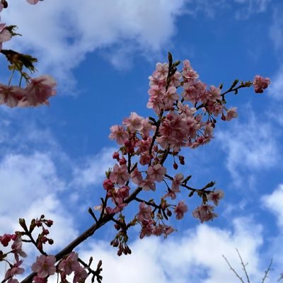 我喜欢美酒和美食_2025年目標WSET3/チーズプロフェッショナル_2024年ワインエキスパート/SAKEDIPLOMA合格_美味しいご飯と酒が好き日常ポストおじさん_無言フォロー失敬_DM見ません開きません_welcome repost reply follow me- DM no thank you _感謝