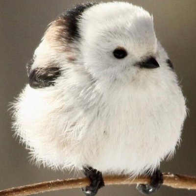 9909_009's profile picture. 경제공부