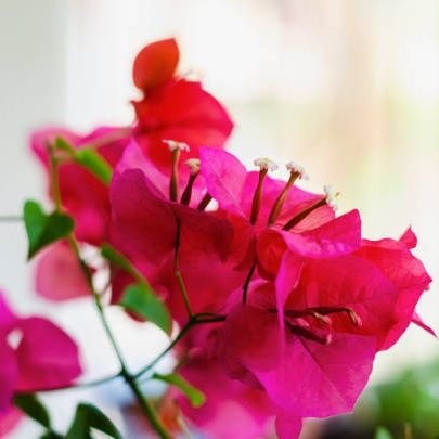 jainvsc's profile picture. proud to be indian
sabka sath sabka vikas