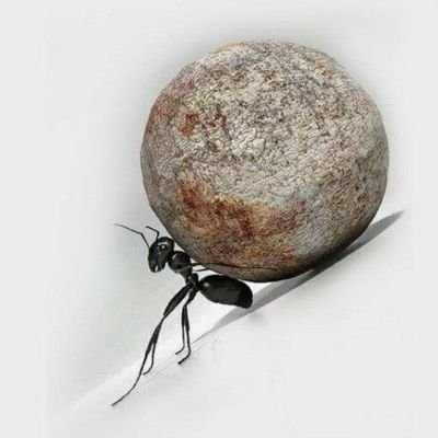 GdsMorcha7441's profile picture. जीडीएस संघ (RJ-22)
युवा मोर्चा