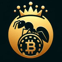 富蚁之巢 (@0xrichant) 's Twitter Profile