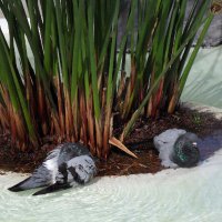 Normalintelligenter! (@hochfranke) 's Twitter Profile Photo