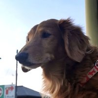 イバラキHB245/JG1HBH (@jg1hbh) 's Twitter Profile