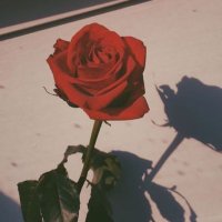 Aesthetics (@aestheticspost_) 's Twitter Profile
