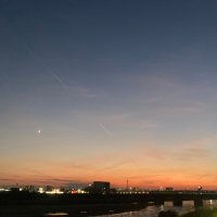 なすび🍆 (@minimimi_tomato) Twitter profile photo