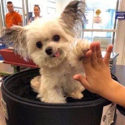 PSimon24448's profile picture. 