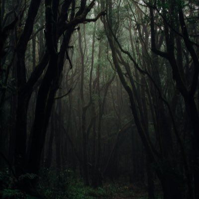 podd45362's profile picture. 