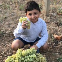 orhan (@orhan44228321) 's Twitter Profile Photo orhan (@orhan44228321) 's Twitter Profile Photo