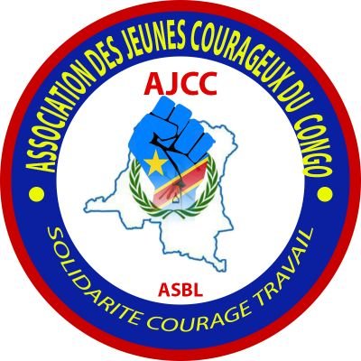 Architecte politicien, Président National de l'Association des Jeunes Courageux du Congo/Communicateur privé du Chef de l'État/ Cadre de l'Udps/tshisekediste/