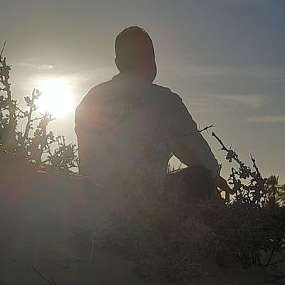 ShehataMhmed's profile picture. 