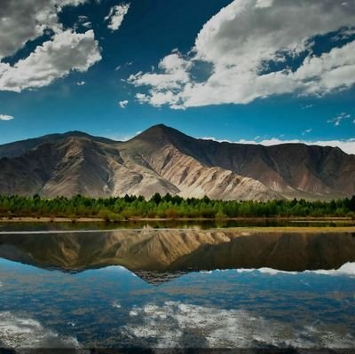 Fayz_AboAlfoz's profile picture. 