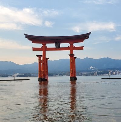 私立の中高一貫校で英語を教えています。授業はとにかく分かりやすく。言葉の背景にある文化や歴史に気づいてほしい。担任としても日々奮闘中。猫アレルギーの猫好き。