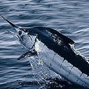 Marilynn Anderson(🎮,🟢) - @MarilynnAn86724 - Twitter