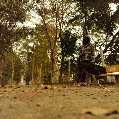 Vaishdeorao's profile picture. 