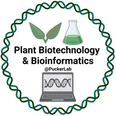 Plant Biotechnology and Bioinformatics Profile