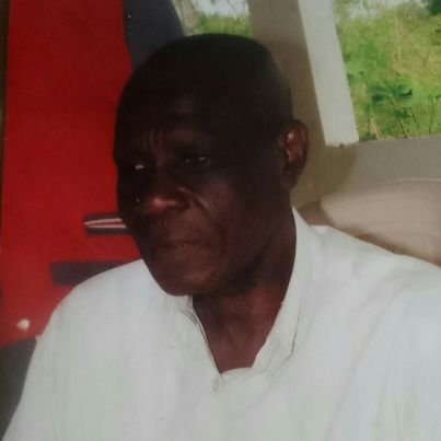 sundasuzu's profile picture. Information Technology & Services Consultant and Contractor