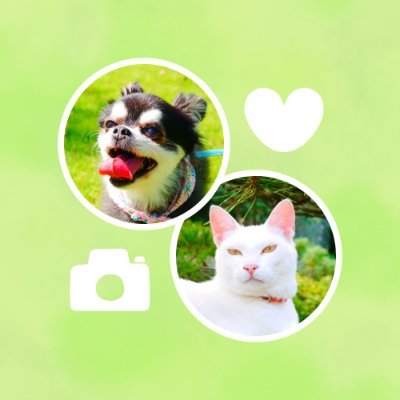 ふかありあさんのプロフィール画像