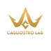 Cagliostro Research Lab (@cagliostrolab) Twitter profile photo Cagliostro Research Lab (@cagliostrolab) Twitter profile photo