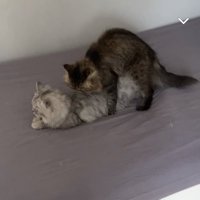 controII. (@controii_) 's Twitter Profile Photo