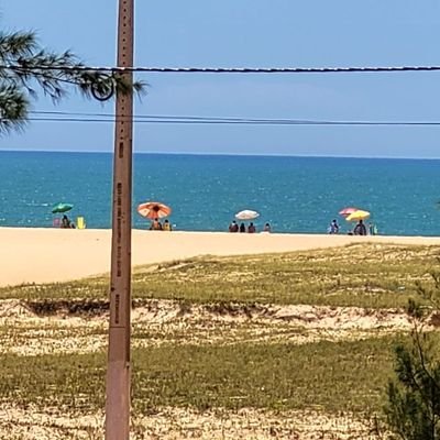 raven_do_fefo's profile picture. 