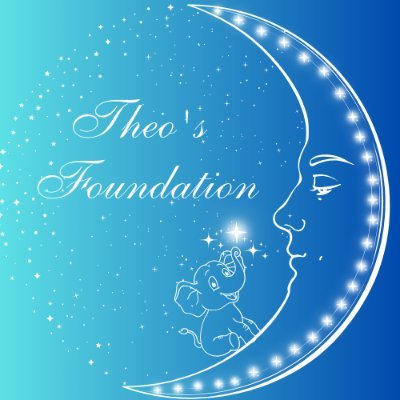 Theo's Foundation creating a stampede of change...because all lives are precious!
Supporting families through the devastating impact of baby and infant loss