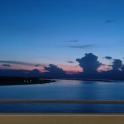 wafitofi's profile picture. 