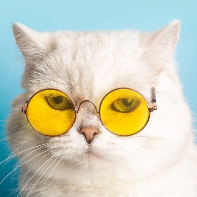 delsvo's profile picture. 