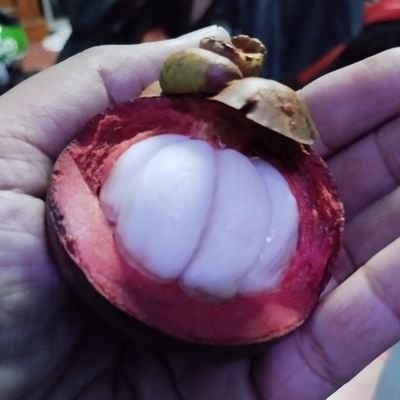 kankzoerya1's profile picture. PRINTING SPV since 2004