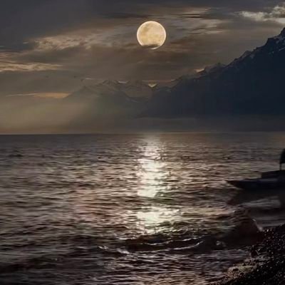 mohsinhameed16's profile picture. 