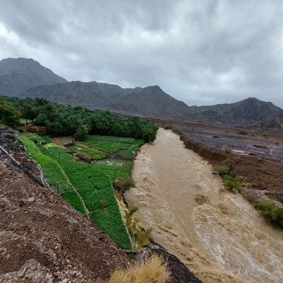 ♥️🥀كن مستعدا للسير وحدك فالجميع راحلون. ..كن أو كن من العدم❤️🥀