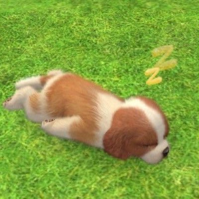 vhuddii's profile picture. 붕방붕방 막냉이와 강아지 대장