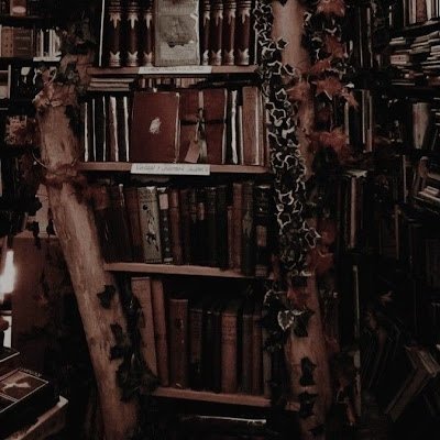 123vkoo's profile picture. 