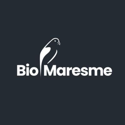 Bio Maresme som una empresa dedicada a la docència de ciències. Dissenyem i dinamitzem tallers destinats a públic escolar i adult.
