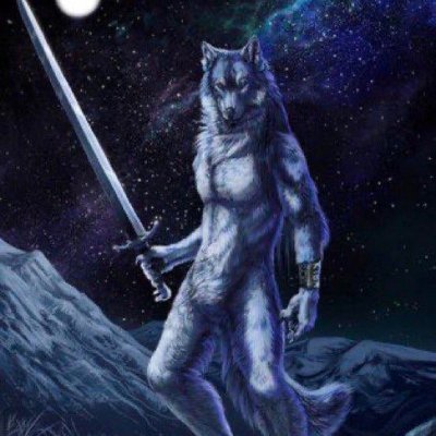 Pohapefn's profile picture. 