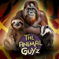 Theanimalguyz (@theanimalguyz) 's Twitter Profile Photo Theanimalguyz (@theanimalguyz) 's Twitter Profile Photo