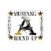 Mustangs News Network (@mustangsnetwork) Twitter profile photo