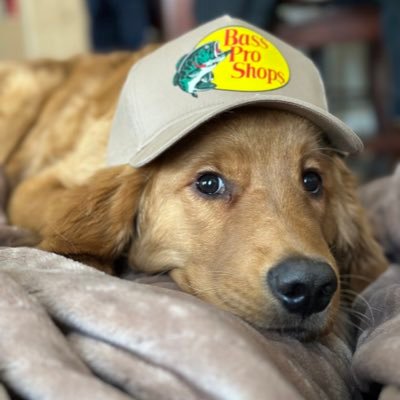 connorerinn's profile picture. Joey & Frankie’s mom | @ZaveVolak