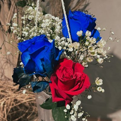 Ajin1468306's profile picture. 