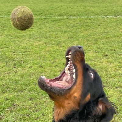 ragingkiwi's profile picture. "Il faut voyager loin en aimant sa maison." Apollinaire.