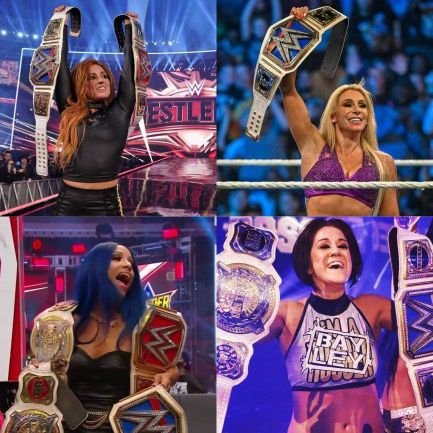 WWE The Four Horsewomen OT4 fan